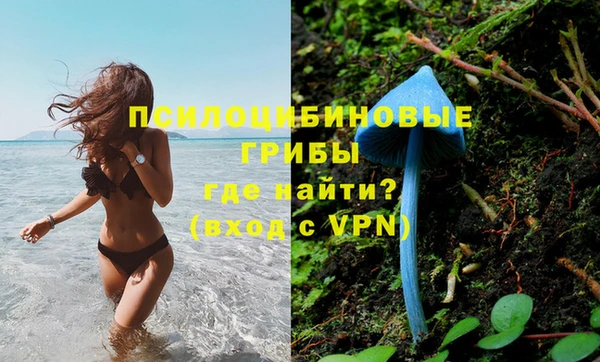 гидропоника Абаза