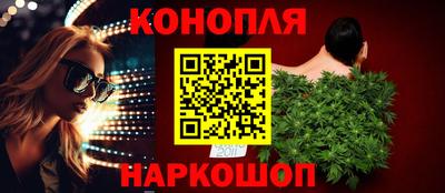 стаф Можга