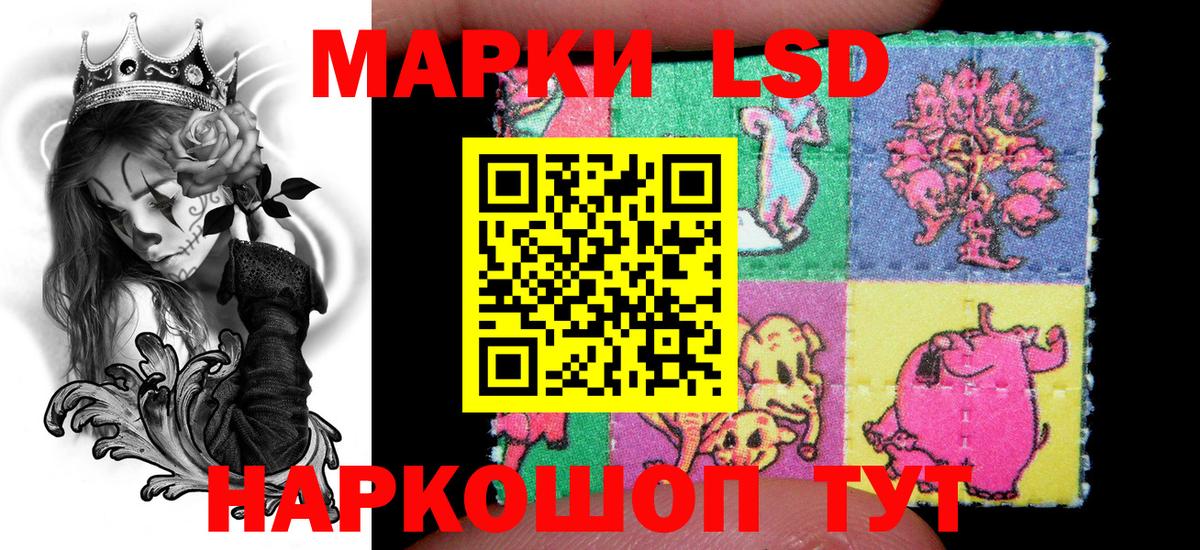 Наркотические марки 1,5мг  Вход с VPN  Новотроицк  Марки 25I-NBOMe  где продают наркотики  Наркотические марки 1,5мг 