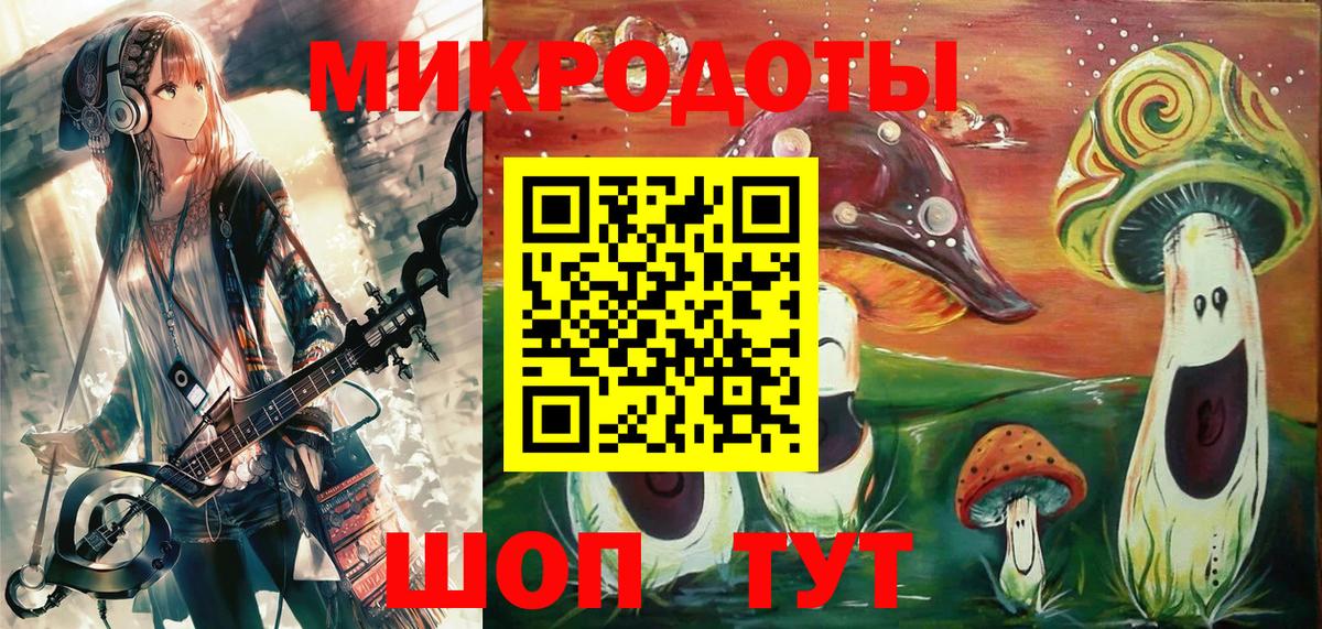 Псилоцибиновые грибы Psilocybine cubensis Новотроицк