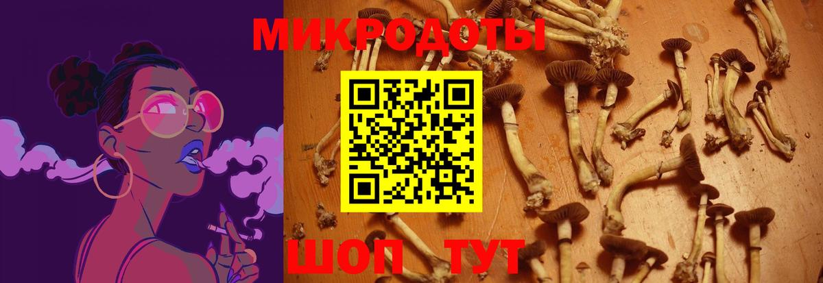 Новотроицк  Галлюциногенные грибы Cubensis  Вход с VPN 